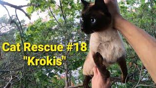 Cat Rescue #18 "Krokis"