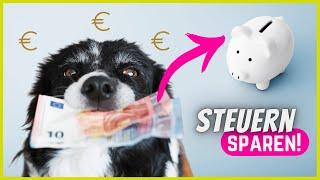 Steuererklärung mit Hund - Diese Dinge kannst du absetzen!