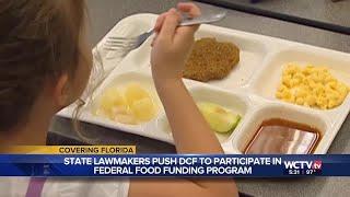 ‘Resources become severely strained’: Florida Democrats urge state to sign up for summer EBT food...