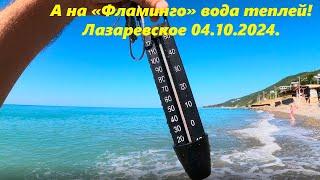 А на "Фламинго" вода теплей! Лазаревское 04.10.2024.ЛАЗАРЕВСКОЕ СЕГОДНЯСОЧИ.