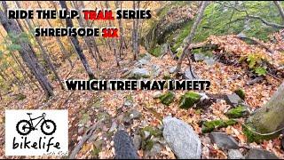 Ride the U.P. Trail Series - So Much Speed and Flow on Sweet Pine - Shredisode 6