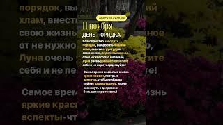 #гороскопнакаждыйдень #гороскопсегодня #джйотиш #goroskop #гороскопноябрь #гороскоп