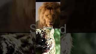 Smilodon vs lion #animals #animalshorts #shorts