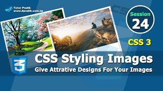 Image Styling With CSS  - Design Attractive Image Cards Session 24 | Tutor Pratik