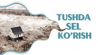 Tushlar tabiri - Tushda sel ko'rish