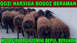 MUSOFIRLARGA YEMINI BEPUL BERAMAN QOZI NARXIGA BOGOZ BERAMAN