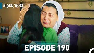 Black Rose Episode 190