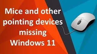 Mice and other pointing devices missing from device manager windows 11