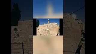 El Libro de 2 Reyes Explicado: ¿Por Qué Cayeron los Reinos de Israel y Judá?