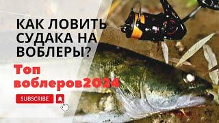 Как ловить судака на воблеры? Рыбалка 2024.