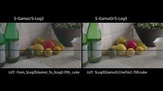 Comparing S-Log2 and S-Log3 Colors