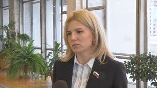 Депутат Ирина Диденко о планах на 2017 год