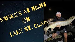 This Might Be The Only Lake St. Clair Nighttime Musky Video on Youtube