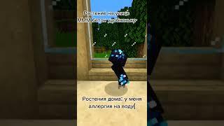 Ростения дома... #мем #mem #маинкрафт #mine #minecraft  #ростения