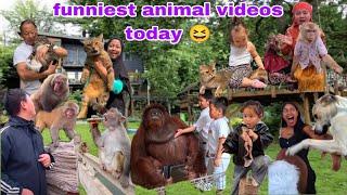 Funniest ANIMAL Videos of the Weekend 2024! Will Make You LAUGH and HAPPY 