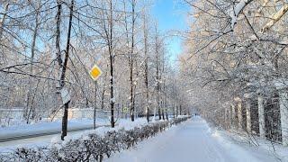 Сибирские просторы. Северск. Мороз и солнце-день чудесный!