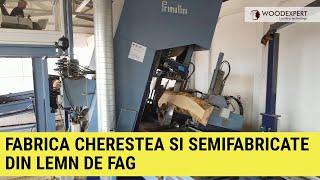 Debitare busteni, cherestea si semifabricate din lemn de fag - proiect complet Wood Expert