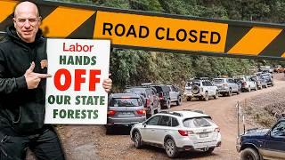 Fed Up Protesters Take a Stand Against State Forest Closures