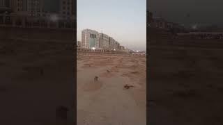 Madina Munawwara The scene after Fajr prayer in Jannat al-Baqi #jannatulbaki #madina #masjidnabawi