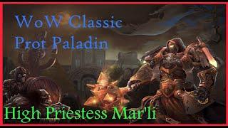 Prot Paladin Vs High Priestess Mar'li