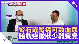 血尿可由腎石、腎癌引起 膀胱癌早期徵狀少難察覺 最大成因由吸煙引起 - 鄭丹瑞《健康旦》香港港安醫院泌尿科顧問醫生 #王明晧 Part 4 (CC中文字幕)