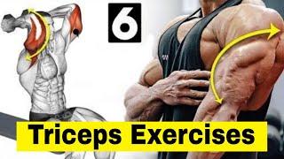 Arms workout | triceps dips |  triceps pushdown | triceps pressdown