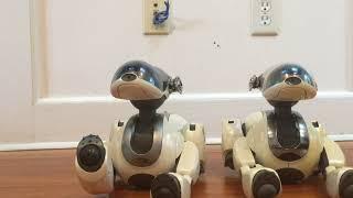 Prototype Sony Aibo ERS-7