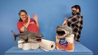 Video update from Mike and Cathy at sharkcityozark.com