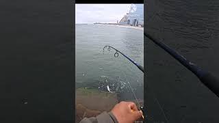 another day of fishing in atlantic city NJ