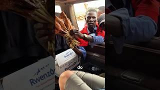 Never Open Your Car Window in Africa‼️