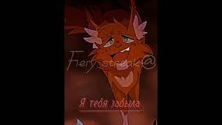 #котывоители #warriorcats #врек#белка#уголёк #залетипж #shorts