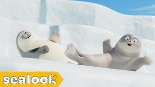 I Can’t Stop Clapping | Clapping Seal Compilation | SEALOOK Official