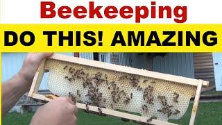 Beekeeping - How Adding Wax Can Improve Bees Drawing Out Honey Supers