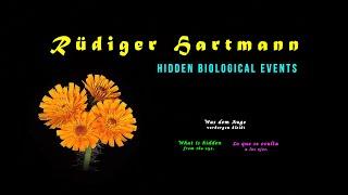 Was dem Auge verborgen bleibt • R  Hartmann • HIDDEN BIOLOGICAL EVENTS 03