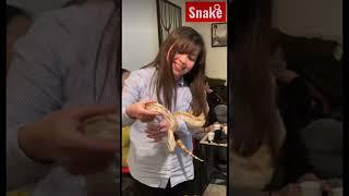 ASMR🪱A Very Scary Snake  Satisfying video #shorts #viral #asmr #satisfying #halloween #snake