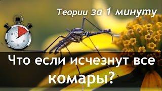 Что если исчезнут все комары? Исчезновение видов. - Теории за 1 минуту | BrainTime