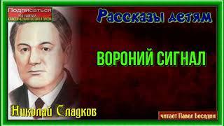 Вороний сигнал— Николай Сладков —читает Павел Беседин