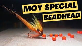 Beadhead Salmon Fly: The Moy Special - Fly Tying