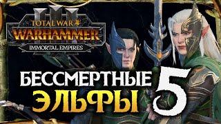 Бессмертные Империи и Лесные Эльфы в Total War Warhammer 3 Immortal Empires - #5