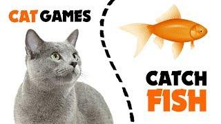 GAMES FOR CATS  FISH CATCHING games on screen