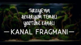 Guraba Aquatics Reklam Filmi - Kanal Fragmanı - Channel Trailer