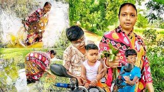 দীপাবলির পরের দিন শাপলা তুলে ভোরের শুকপুজোর প্রস্তুতি সারলাম ।। রান্না হল শাপলার ডাল ।।