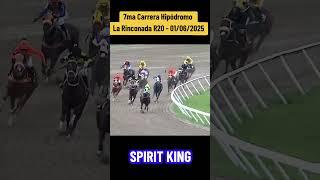 SPIRIT KING - 7ma Carrera hipódromo La rinconada R20 #foryou #inh #hipismo #caballos #parati #race