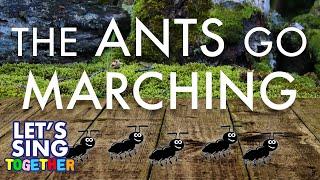 The Ants Go Marching