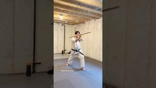 Kobudo Practices #kobudo #martialarts #shokenschoolofkarate #shorts