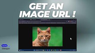 How to Get An Image URL