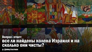 Все ли найдены колена Израиля и на сколько они чисты?