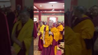 Lama khenno.️ #monk #buddhism #love #goodvibes #youtubeshorts #fyp