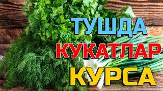 Тушда Кукатлар курса - Tushda Ko'katlar ko'rsa