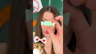 My Cat Sasha as a 'Makeup Critic'!  What Rating Will She Give These Candy Lipsticks? ⭐